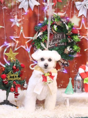 20231229うみちゃん